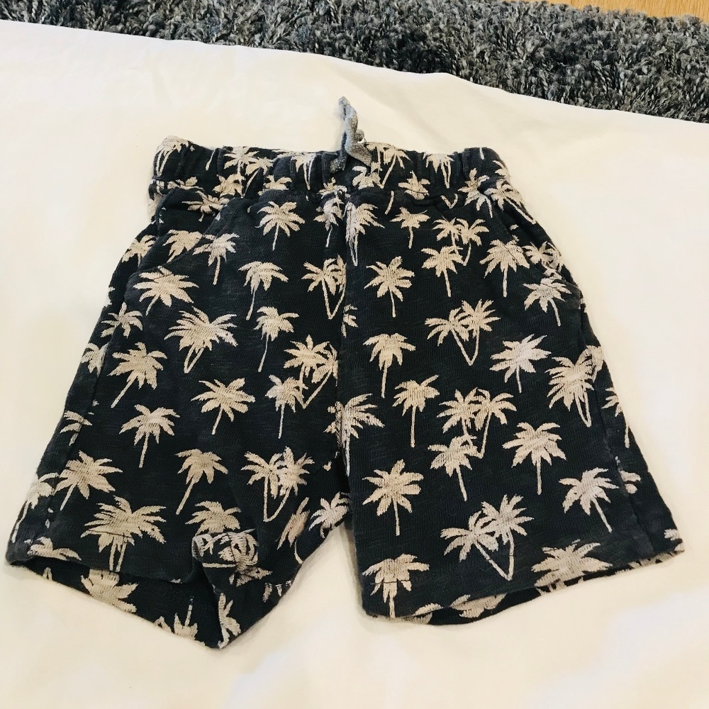 Zara Boy's Shorts